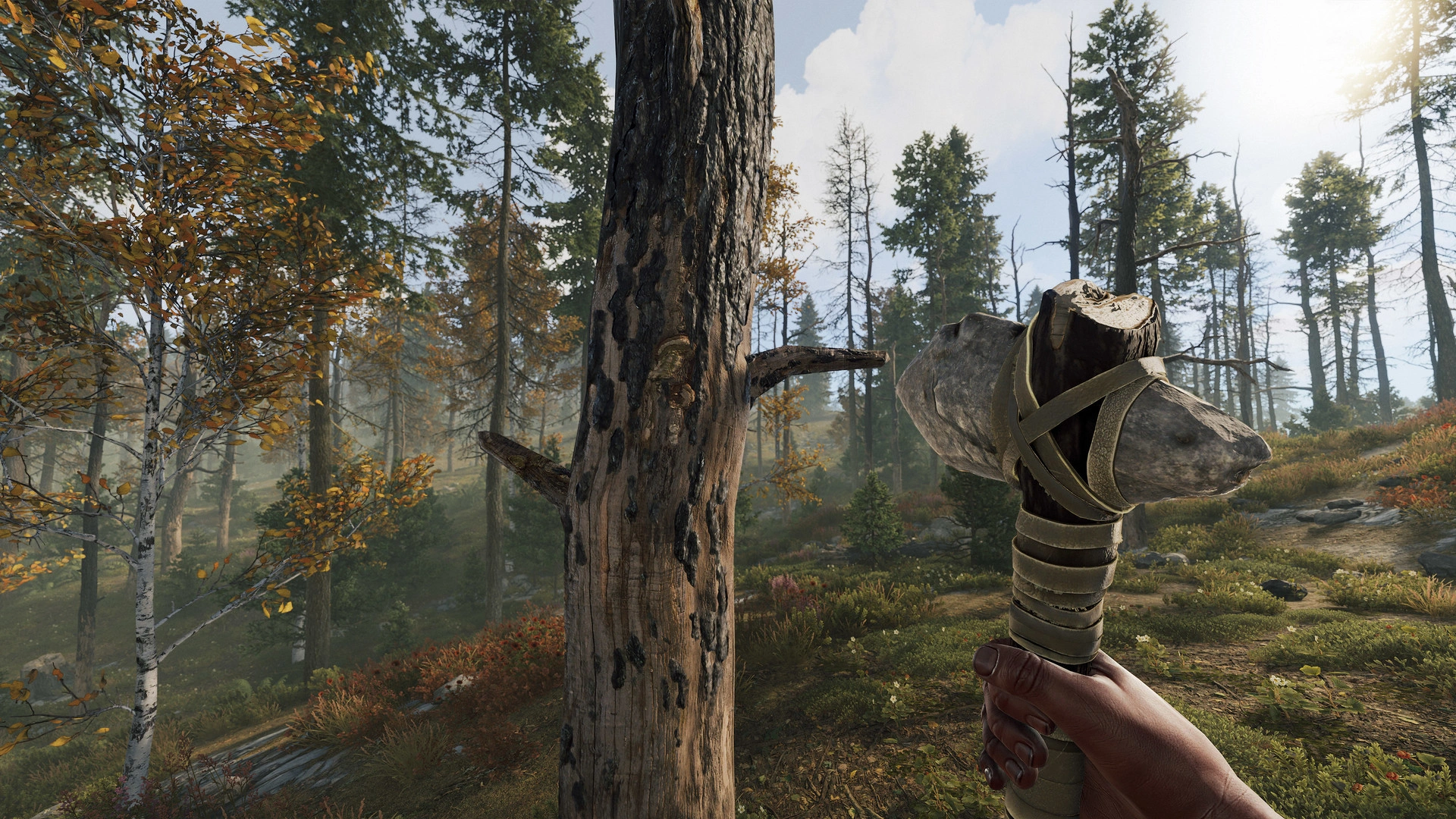 Скриншот Rust 5